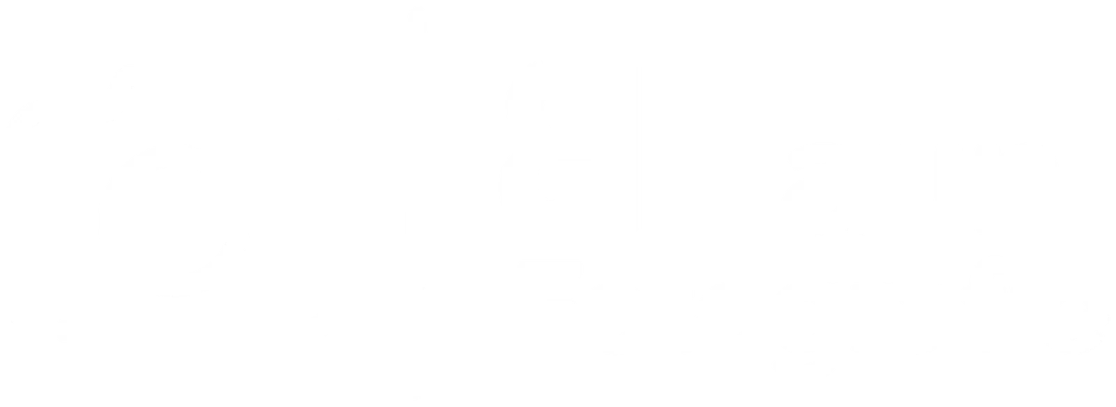Braun Fotografie